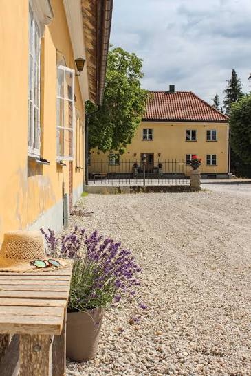 Gårdsplan på Nygårds herrgård med gula längor och lavendel